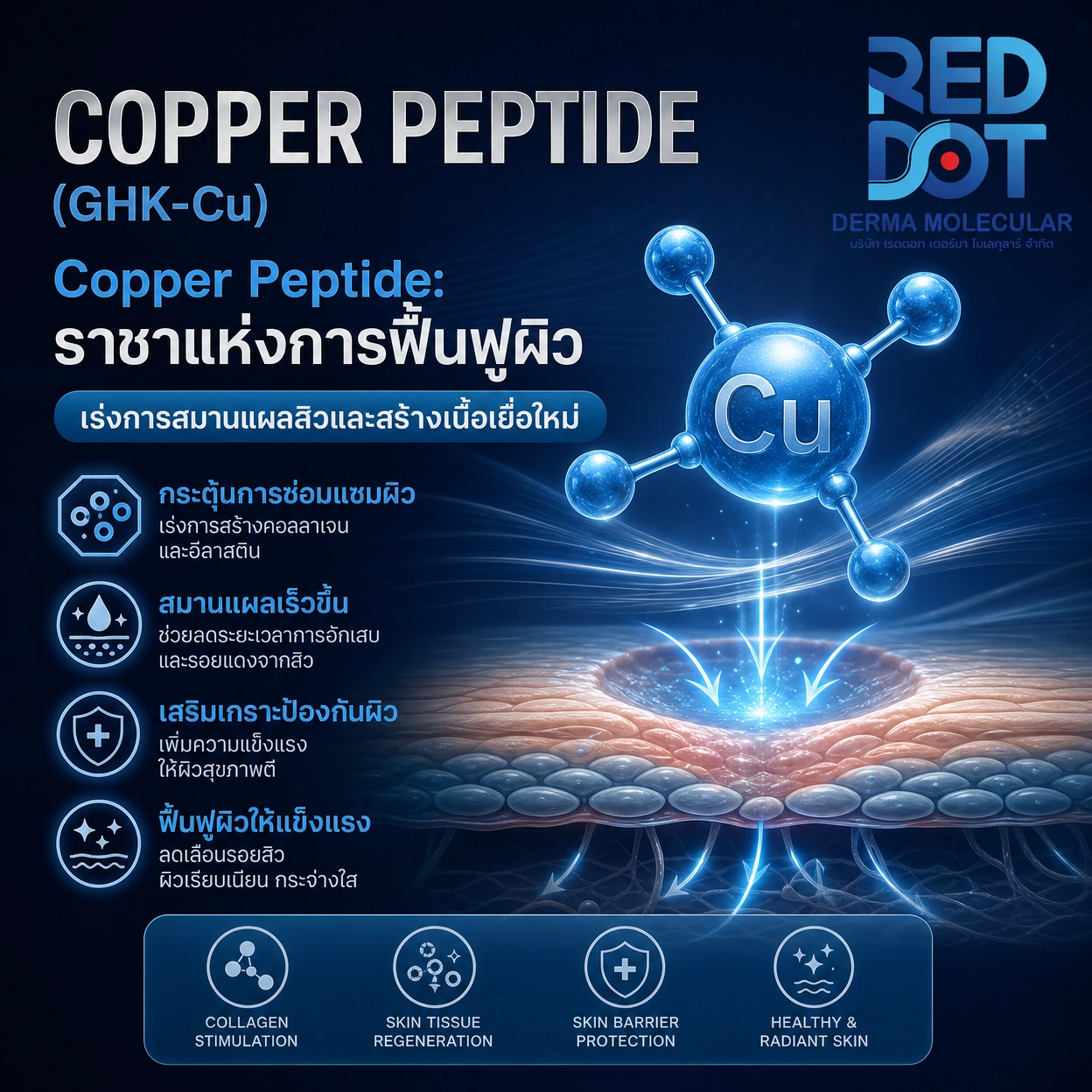 Copper Peptide คอปเปอร์ เปปไทด์ สารสกัด สกินแคร์ OEM Reddot